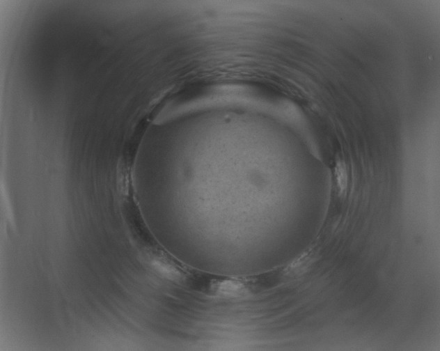 X0000072960180200607211207