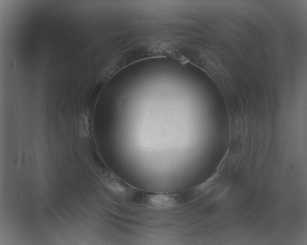 X0000072960183200607211207