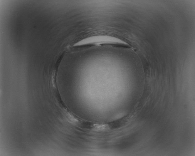 X0000072960185200607211207