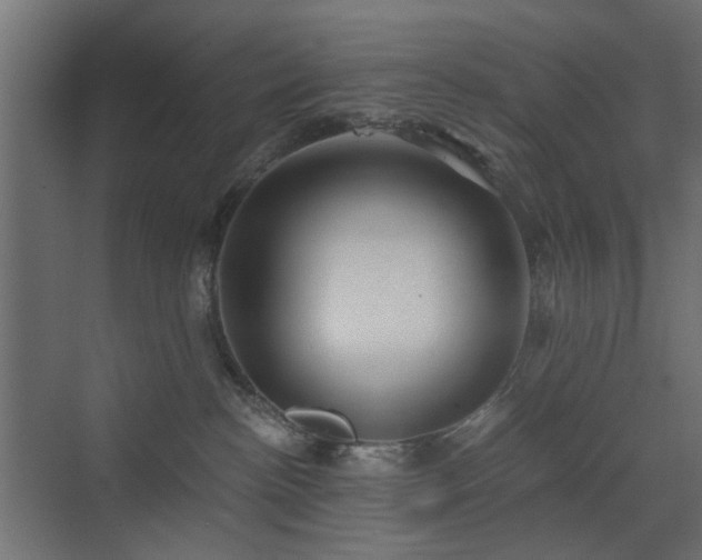 X0000072960188200607211207