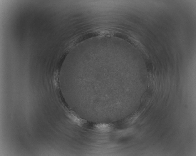 X0000072960189200607211207