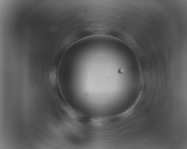 X0000072960190200607211207