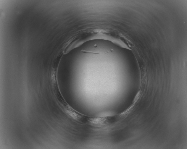 X0000072960191200607211207