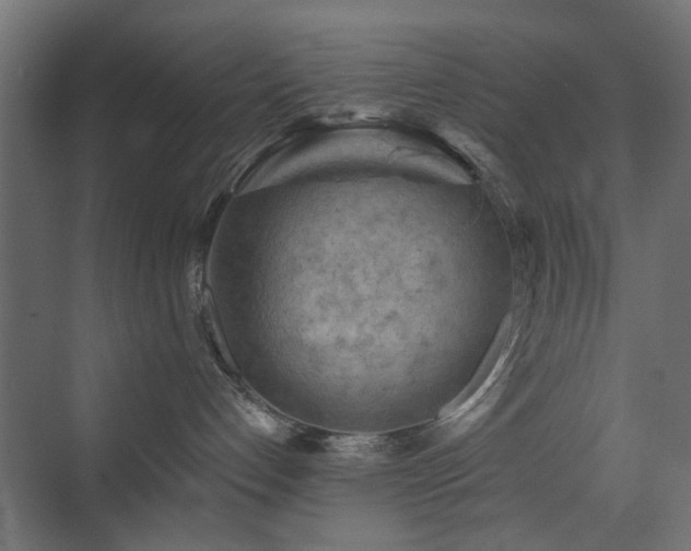 X0000072960192200607211207