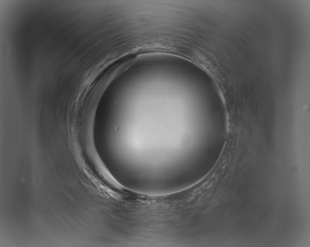 X0000072960193200607211206