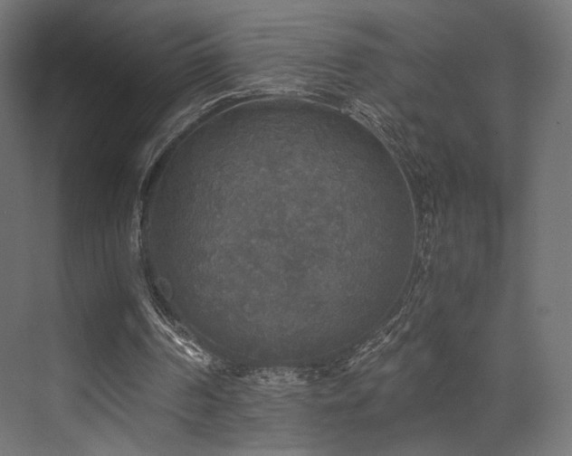 X0000072960194200607211206