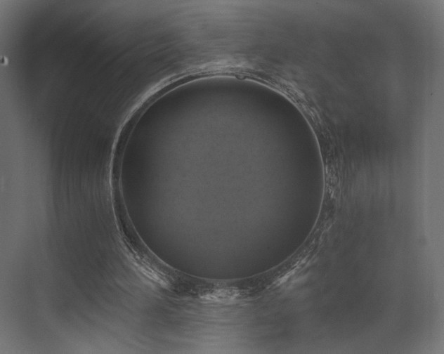 X0000072960196200607211206