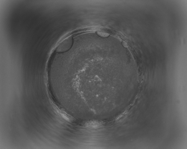 X0000072960198200607211206