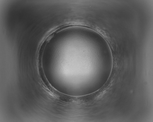 X0000072960199200607211206