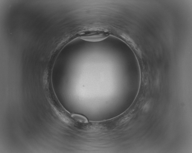 X0000072960201200607211206