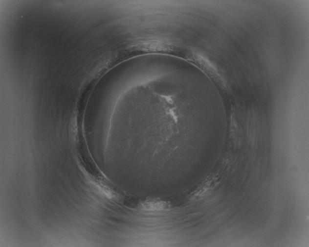 X0000072960202200607211206