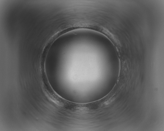 X0000072960203200607211206