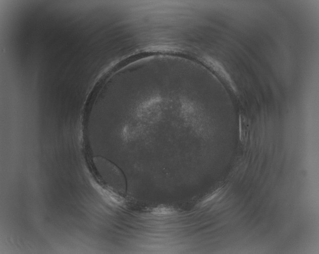 X0000072960204200607211206