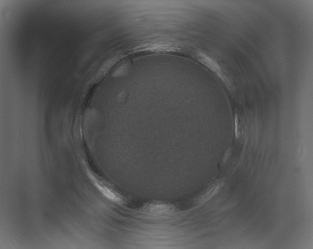 X0000072960205200607211206