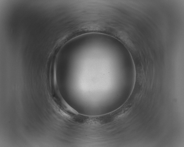 X0000072960207200607211206