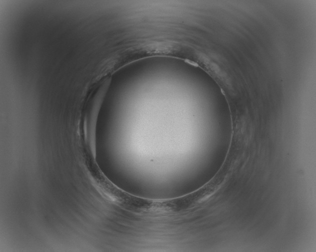 X0000072960209200607211206