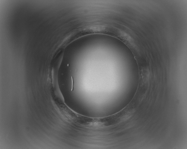 X0000072960212200607211206