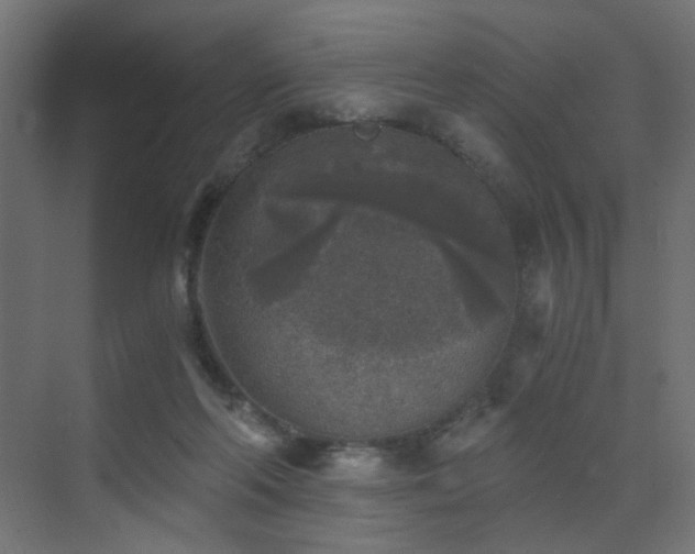 X0000072960214200607211206