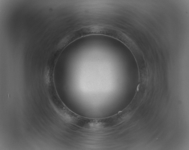 X0000072960216200607211206