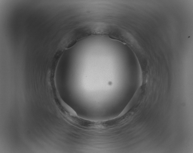 X0000072960217200607211206