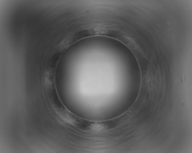 X0000072960218200607211206