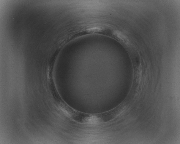 X0000072960219200607211206