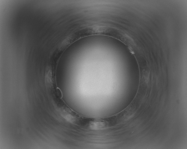 X0000072960220200607211206