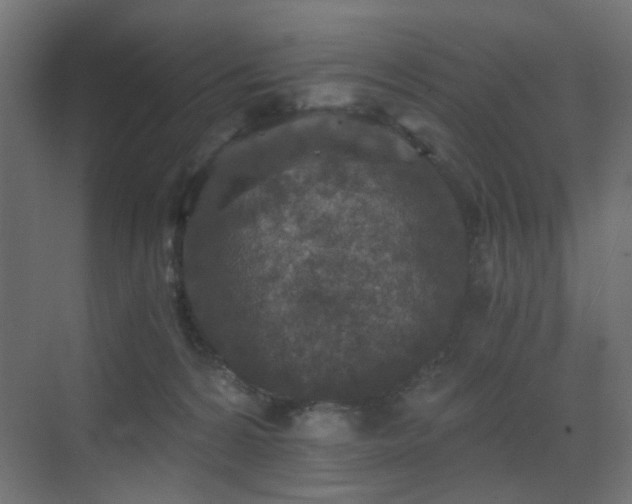 X0000072960224200607211205