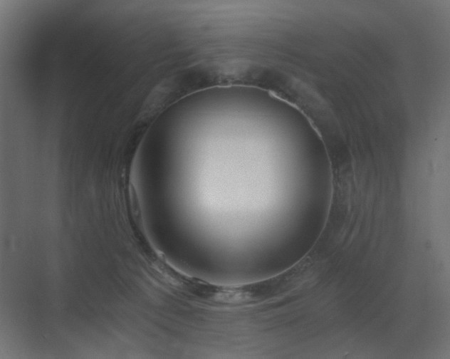 X0000072960225200607211205