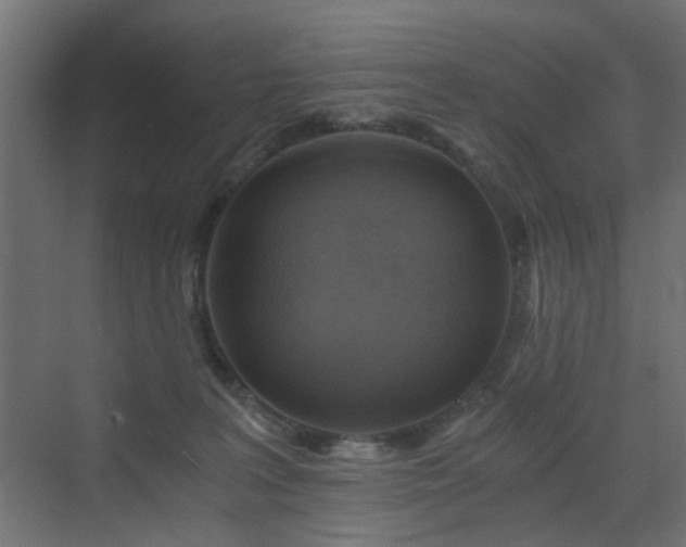 X0000072960227200607211205