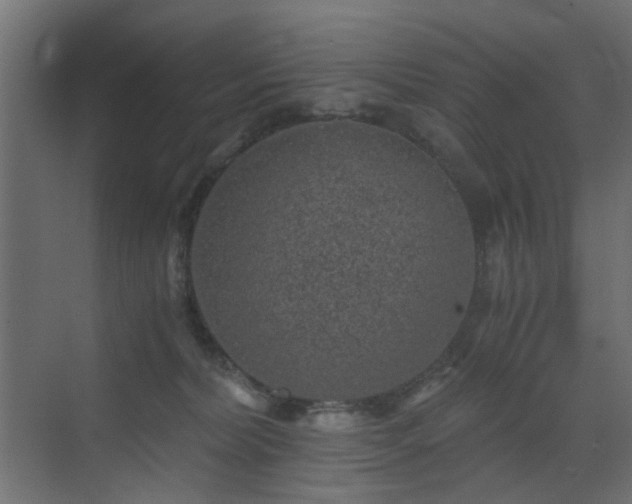 X0000072960228200607211205