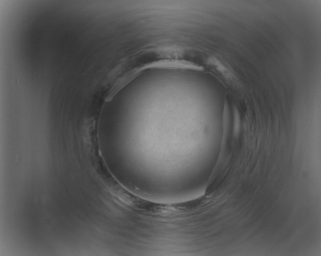 X0000072960229200607211205