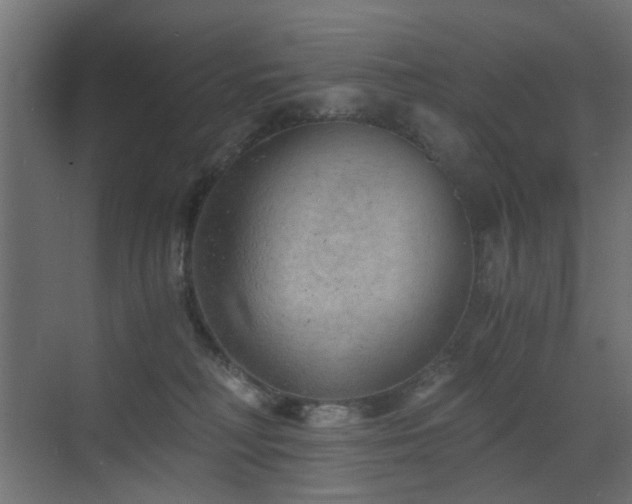 X0000072960230200607211205