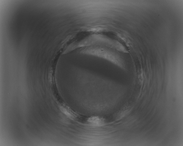 X0000072960231200607211205