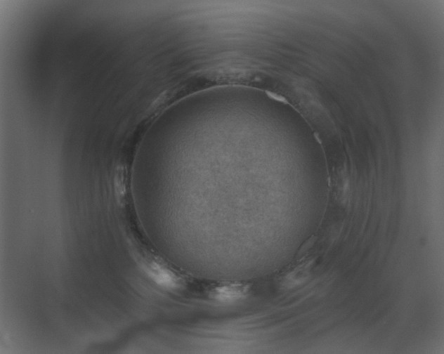 X0000072960232200607211205