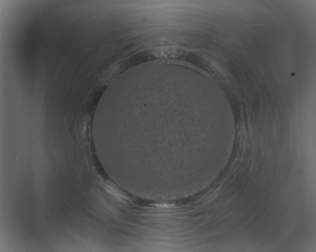 X0000072960233200607211205