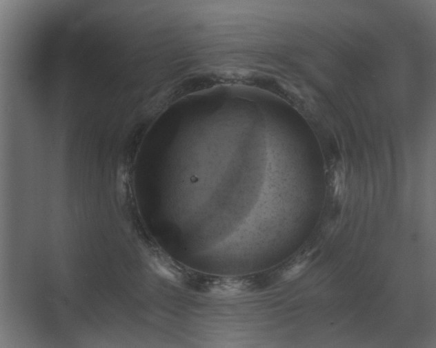 X0000072960235200607211205