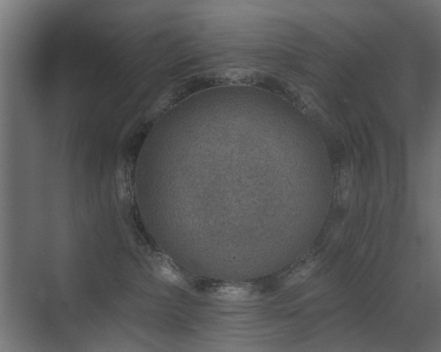 X0000072960236200607211205