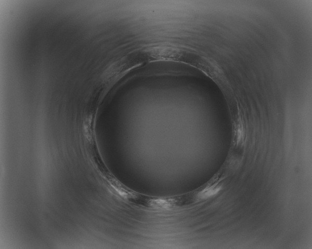 X0000072960239200607211205