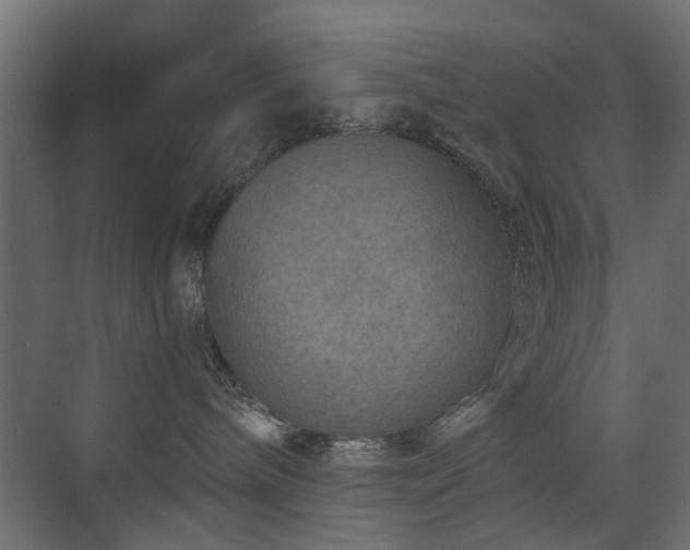 X0000072960240200607211205