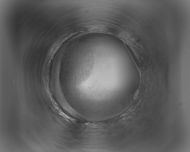 X0000072960241200607211204