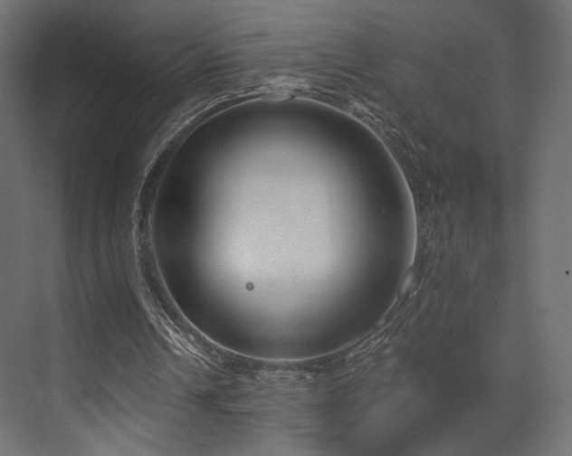 X0000072960242200607211204