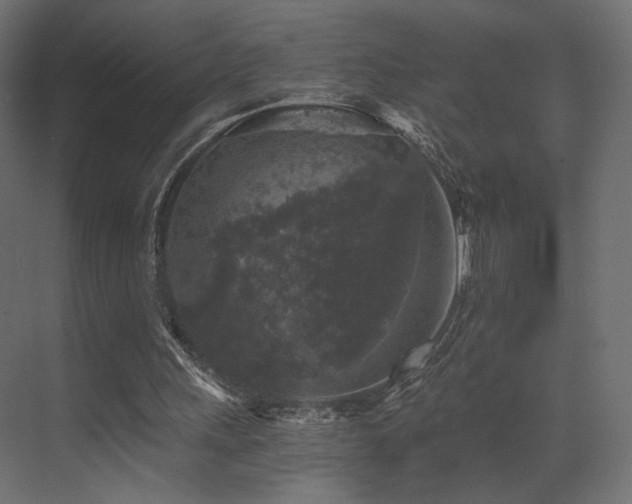 X0000072960243200607211204