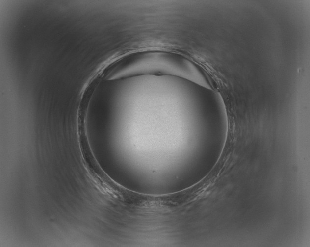 X0000072960244200607211204