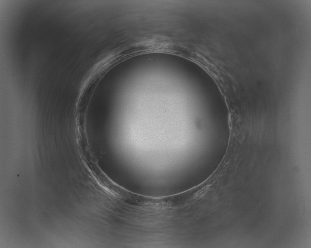 X0000072960245200607211204