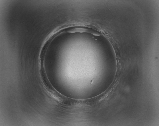 X0000072960246200607211204