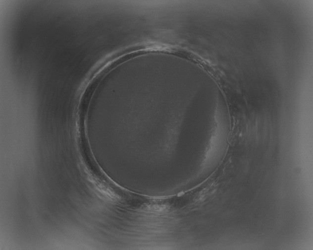 X0000072960247200607211205