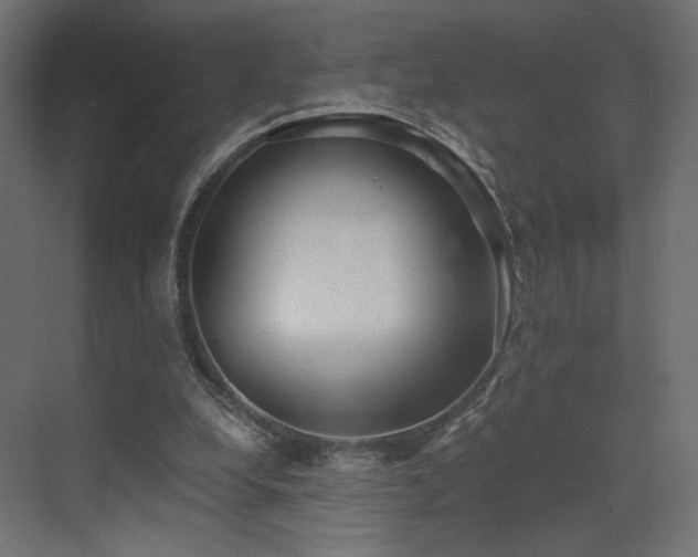 X0000072960248200607211205