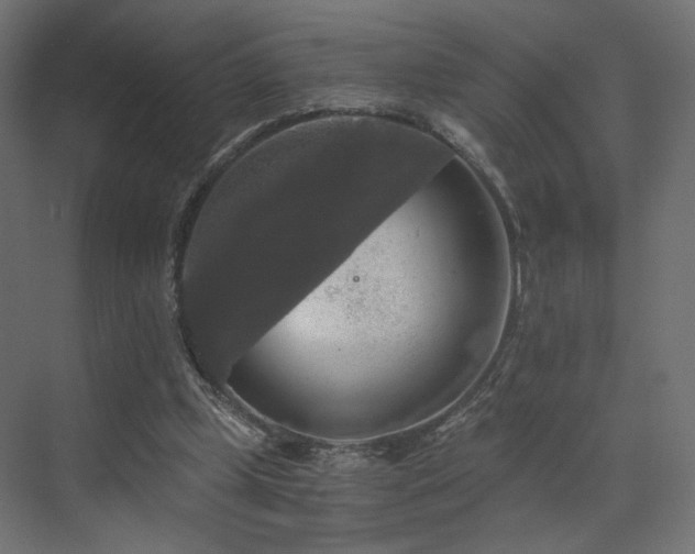 X0000072960249200607211205