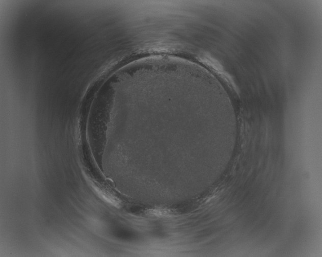 X0000072960250200607211205